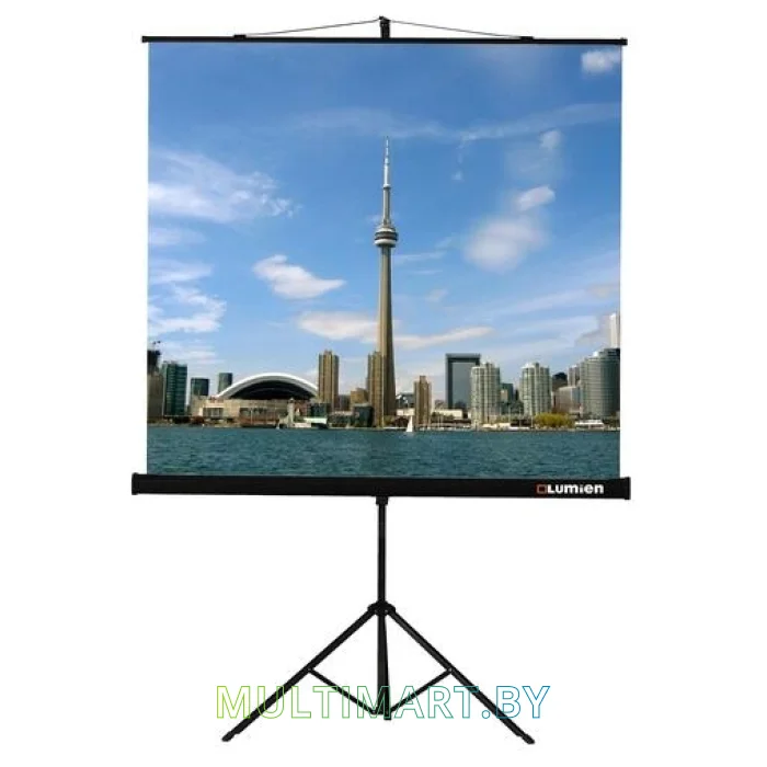 Проекционный экран Lumien Eco View (LEV-100102)